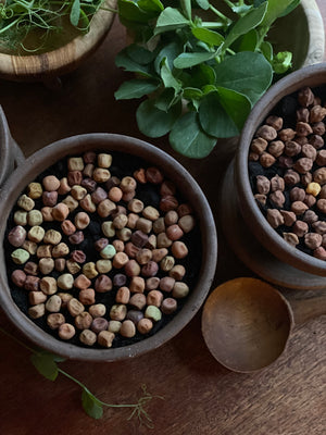 
                  
                    Windowsill Shoot Seeds in Bag: Tendril Peas
                  
                