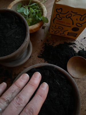 
                  
                    Windowsill Shoot Seeds in Bag: Tendril Peas
                  
                