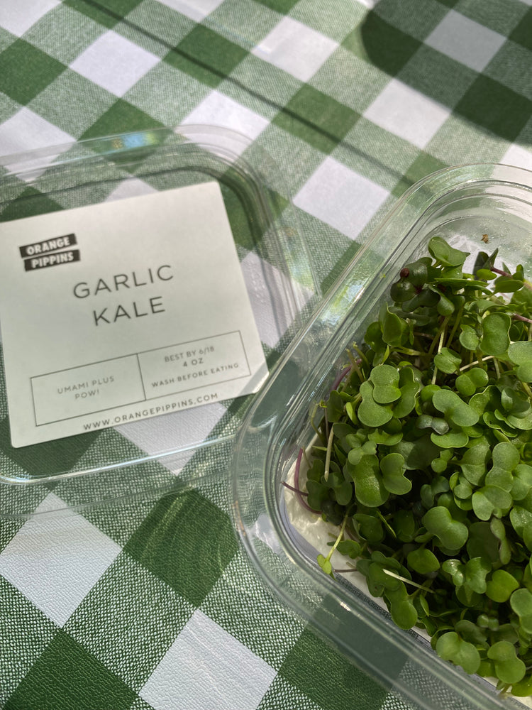 
                  
                    Summer Micro CSA
                  
                