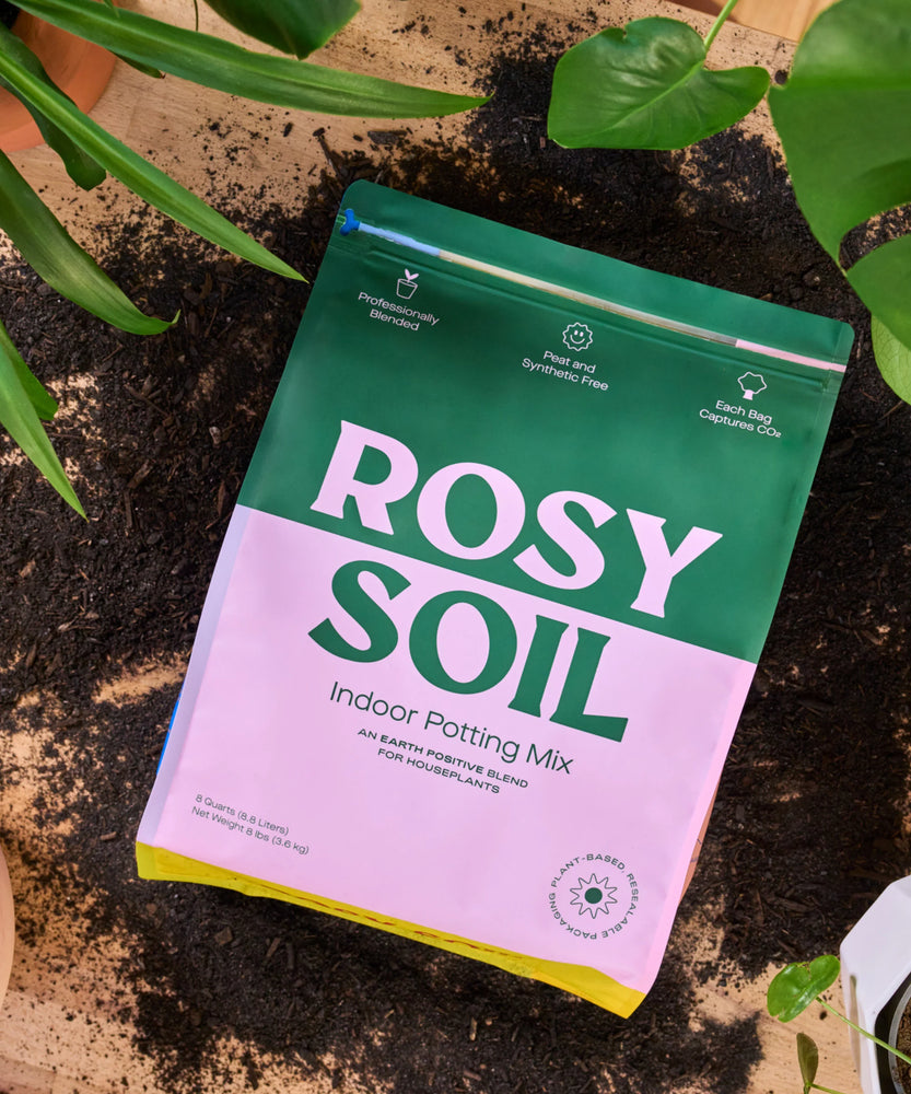 Rosy Soil 4qt Organic Potting Soil Mix, Indoor, Houseplant & Herbs