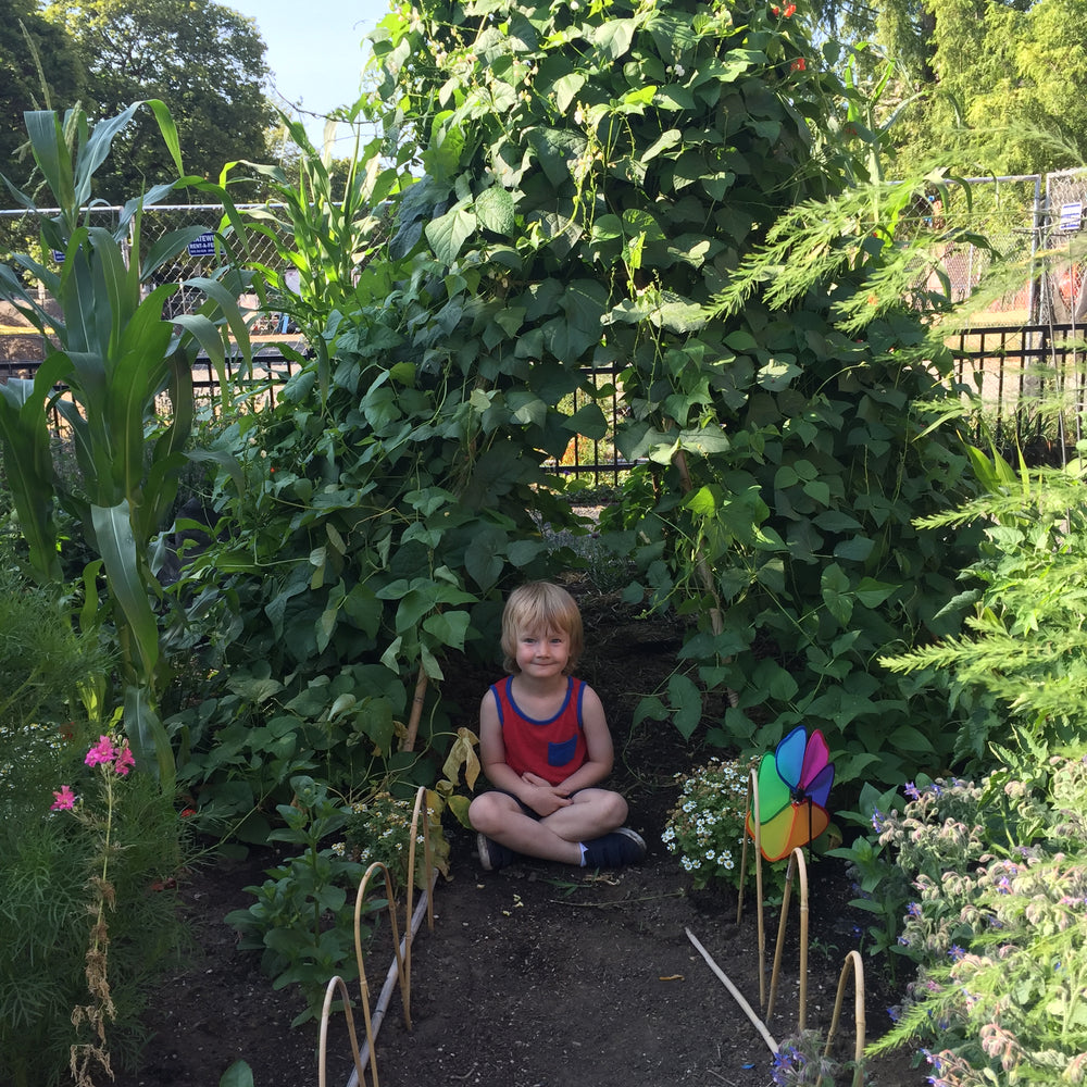 
                  
                    Flower Houses Gardening Kit
                  
                