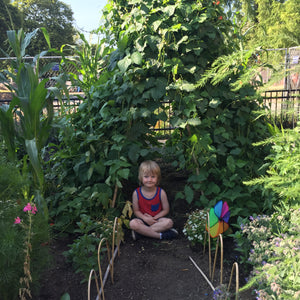 
                  
                    Flower Houses Gardening Kit
                  
                