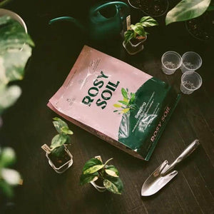 
                  
                    Rosy Soil 4qt Organic Potting Soil Mix, Indoor, Houseplant & Herbs
                  
                